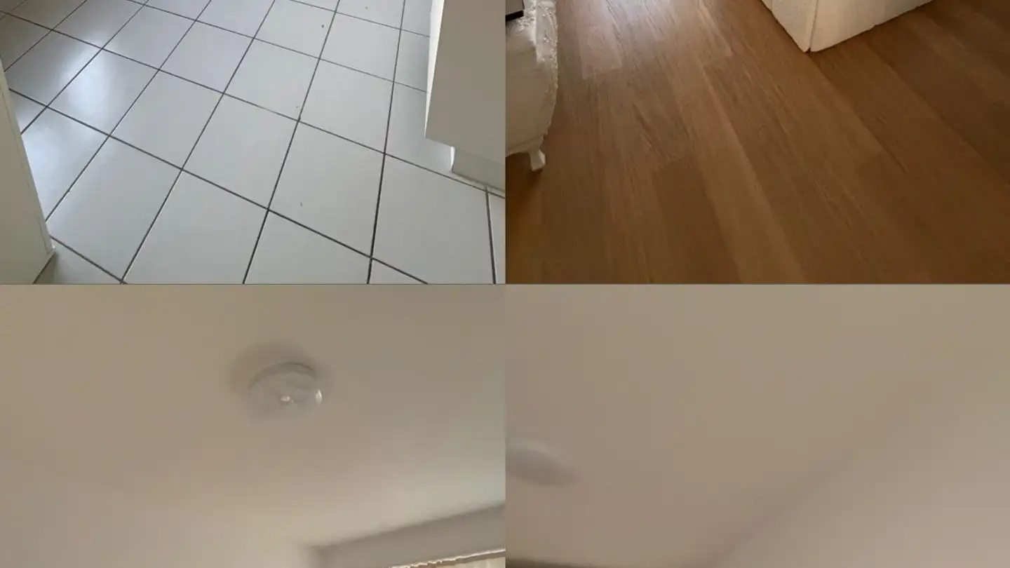 Appartamento in affitto - Adlibogenstrasse 45, 8155 Niederhasli - Foto 2