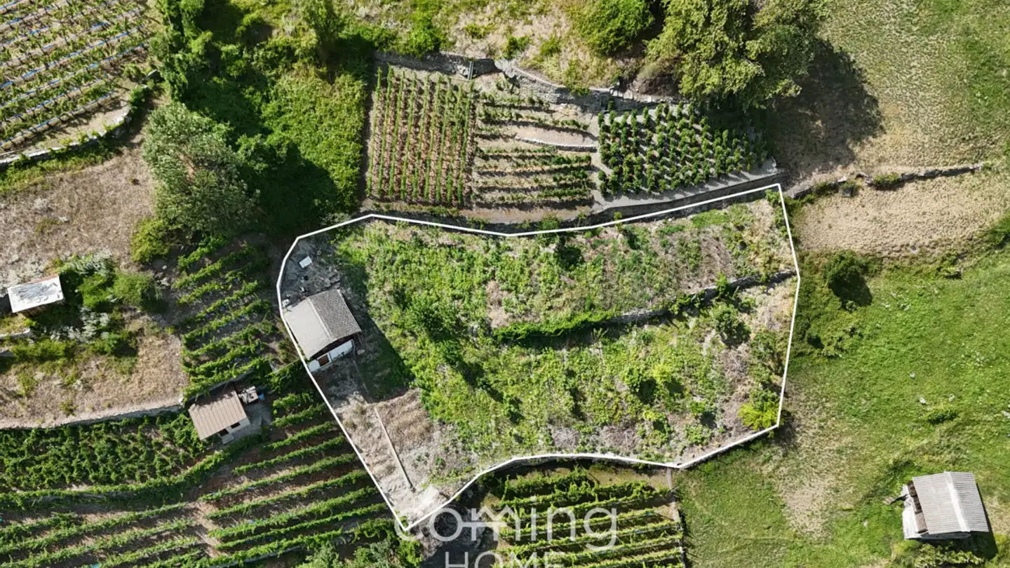 Constructible plot for sale - 3922 Stalden VS