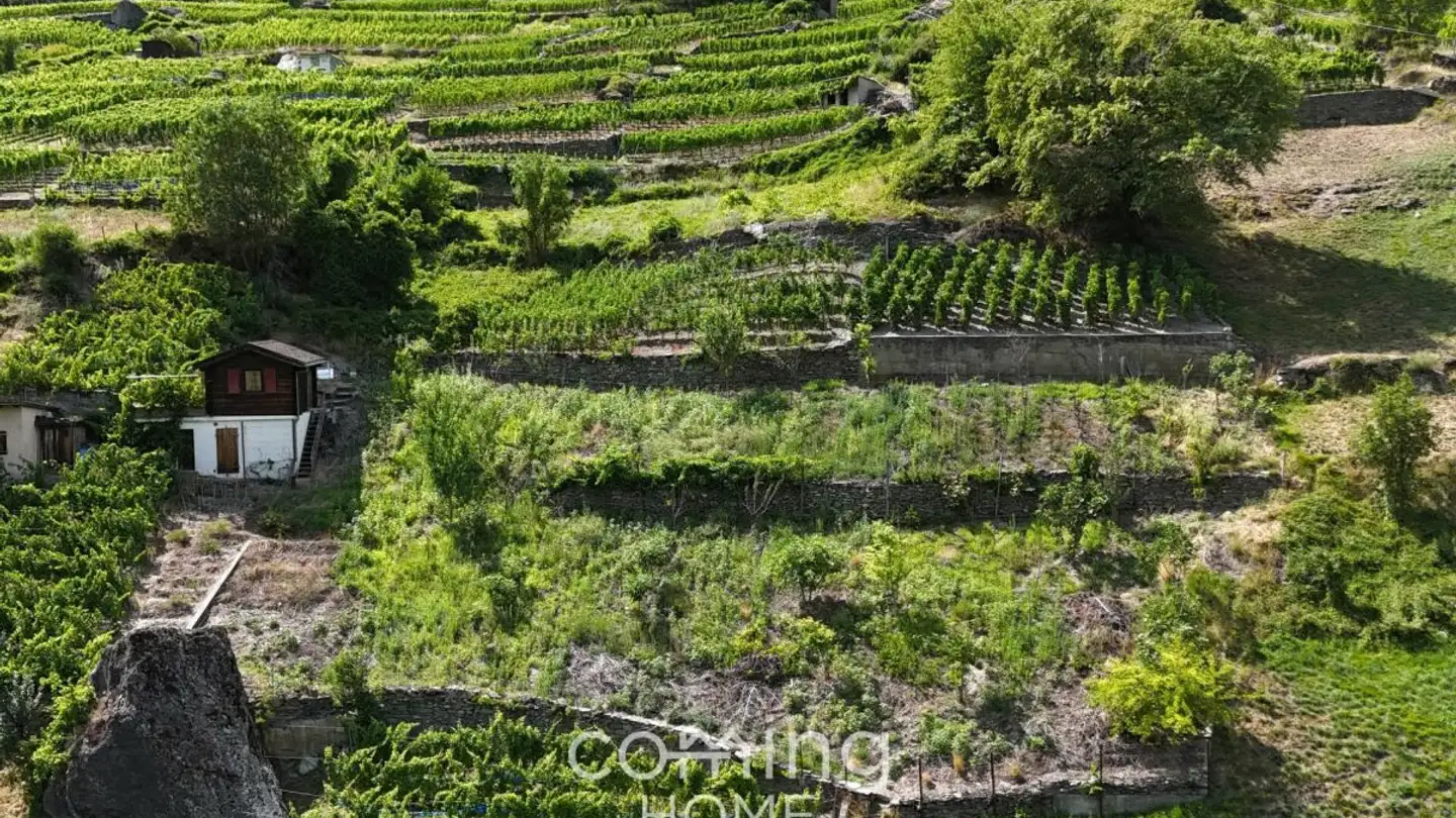 Constructible plot for sale - 3922 Stalden VS - Photo 4
