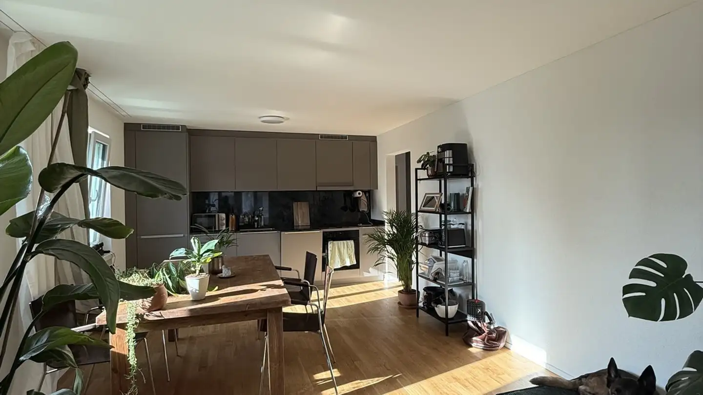 Appartamento in affitto - Steinhauserstrasse 54, 6300 Zug