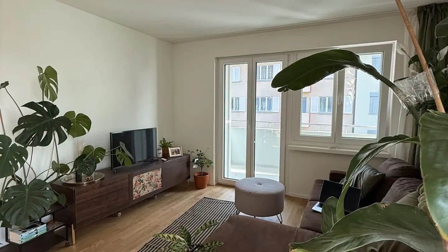 Appartamento in affitto - Steinhauserstrasse 54, 6300 Zug - Foto 2