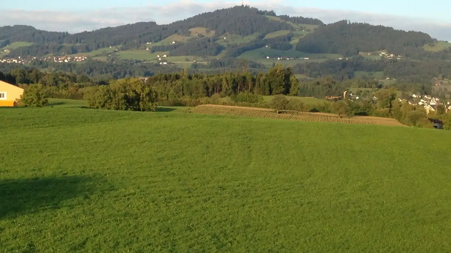 Apartment for sale - Friedheimstrasse 2b, 8608 Bubikon - Photo 2