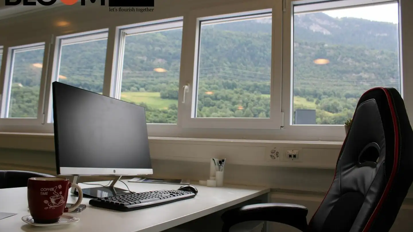 Spazio ufficio in affitto - Ecoparc De Daval C 3, 3960 Sierre - Photo 3