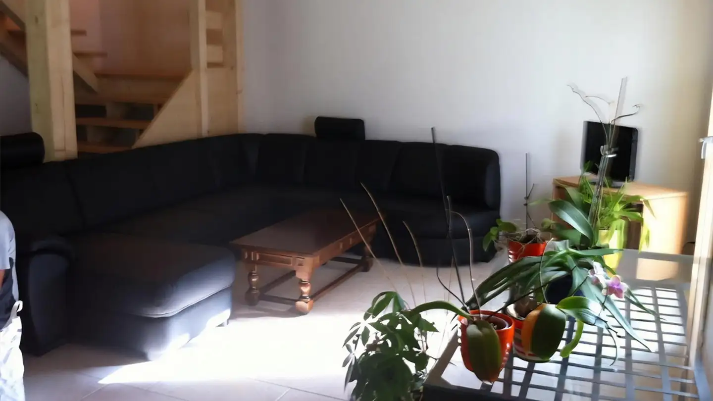 Semi-detached house for rent - 4204 Himmelried - Photo 3