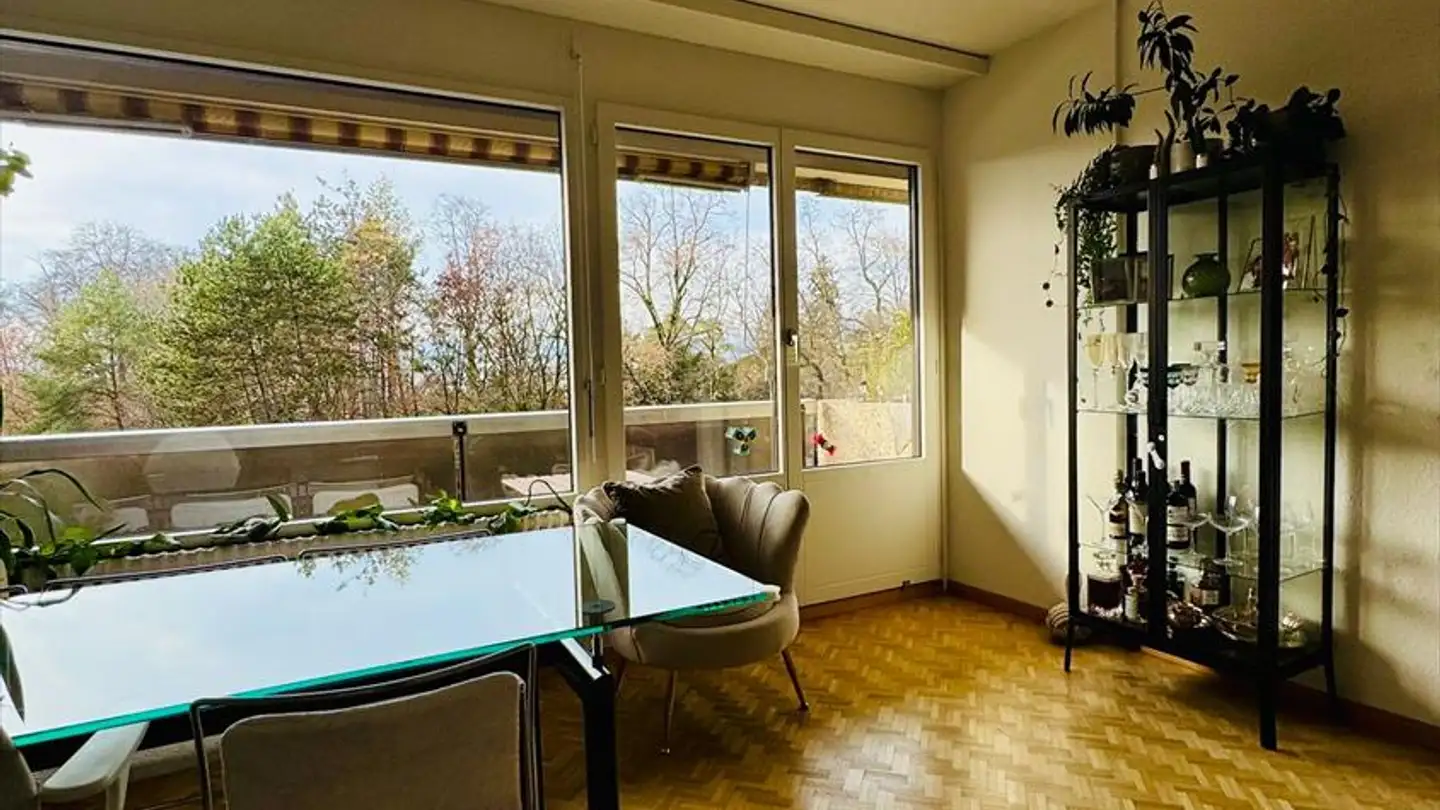 Appartamento in affitto - Route de Frontenex, 1208 Genève - Foto 4