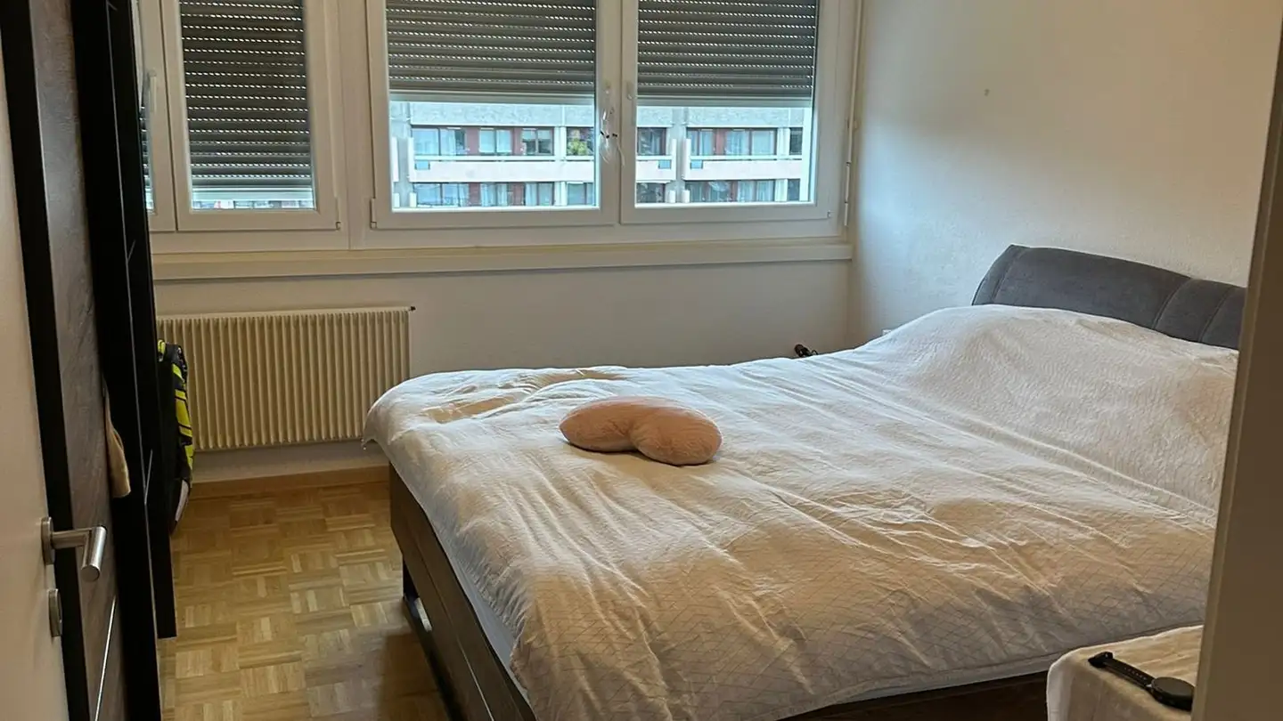 Apartment for rent - Chemin Du Champ-D'anier 10, 1209 Genève - Photo 2