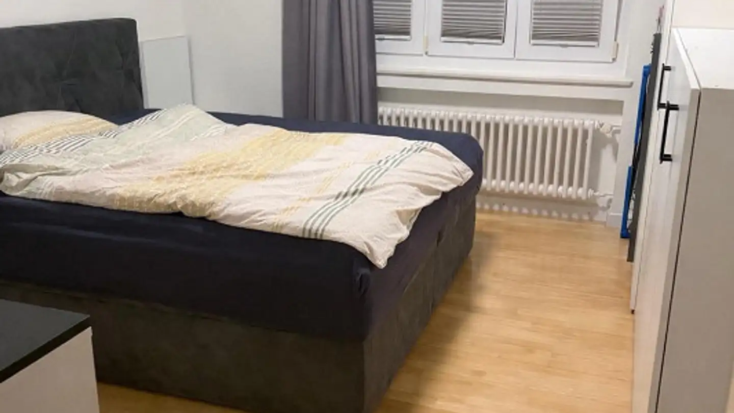 Appartamento in affitto - Strittackerstrasse, 8406 Winterthur - Foto 4