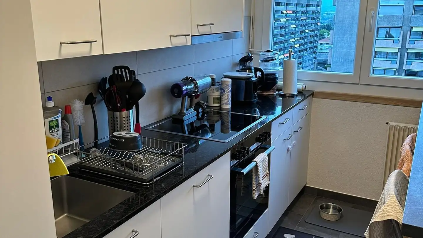 Apartment for rent - Chemin Du Champ-D'anier 10, 1209 Genève - Photo 3