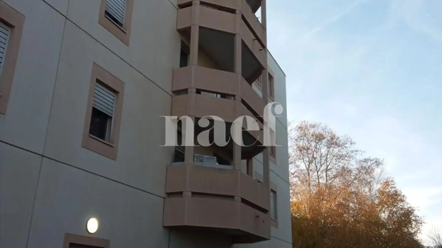 Appartamento in affitto - Chemin De Champ-Claude 3, 1214 Vernier - Foto 2