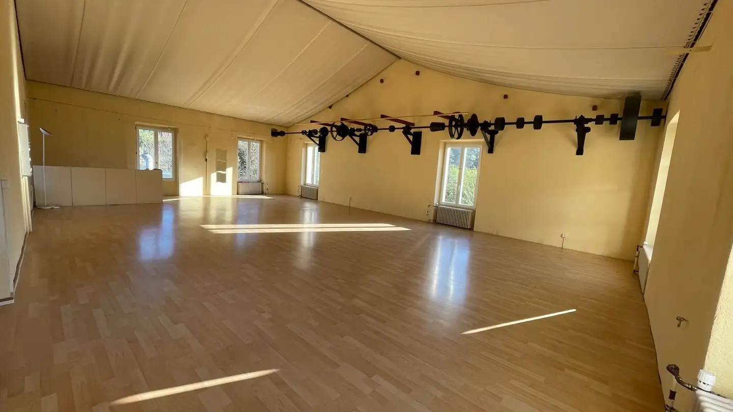 Proprietà industriale in affitto - Via D'argine 7, 6930 Bedano - Photo 3