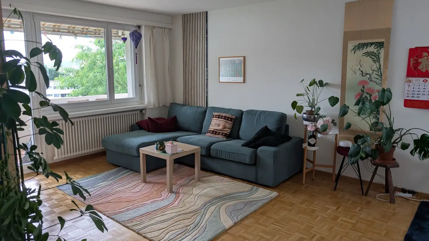 Appartement à louer - 8047 Zürich