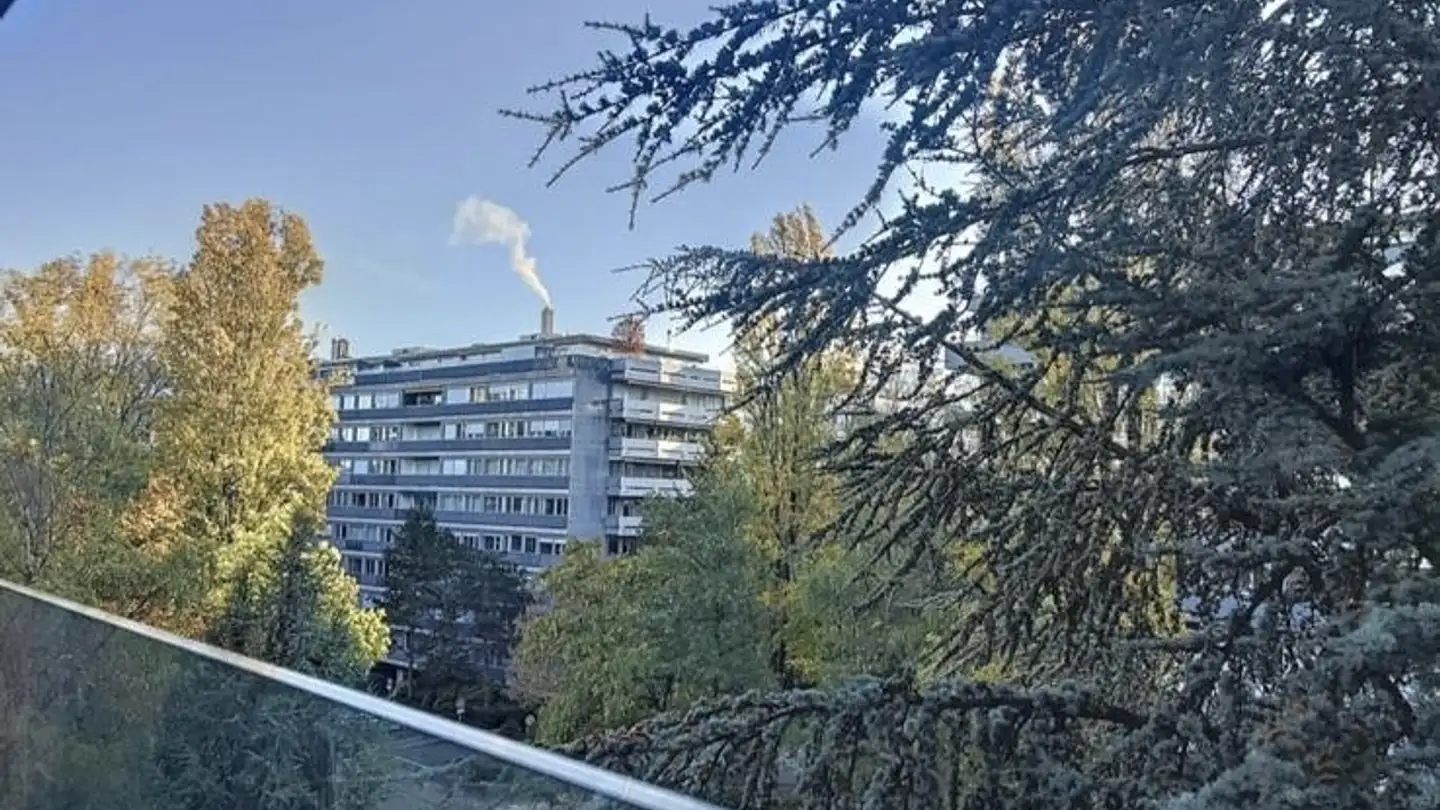 Apartment for rent - Rue Robert- De-Traz 5, 1206 Genève - Photo 2