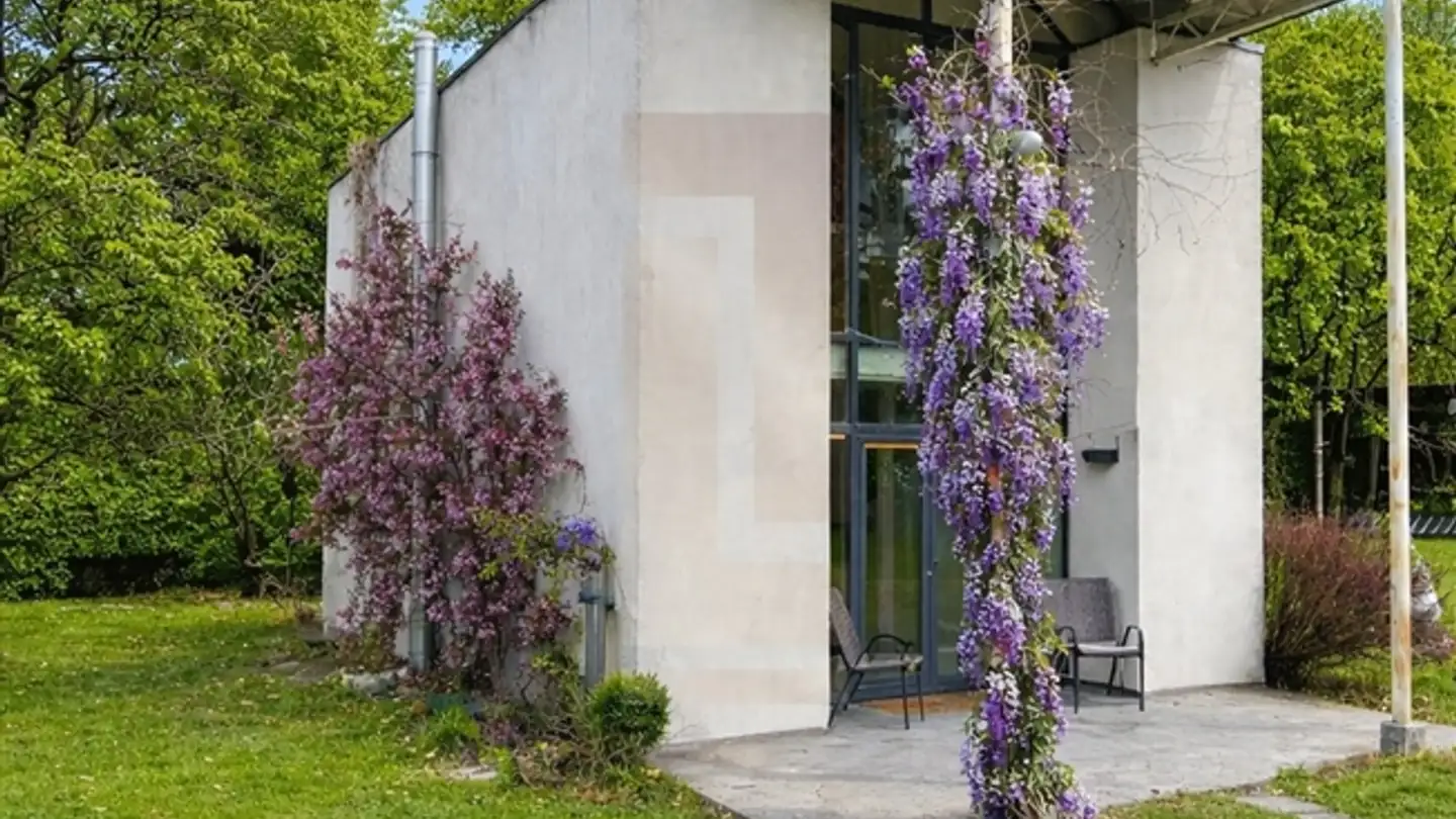 Casa singola in affitto - Chemin De Roilbot, 1292 Chambésy
