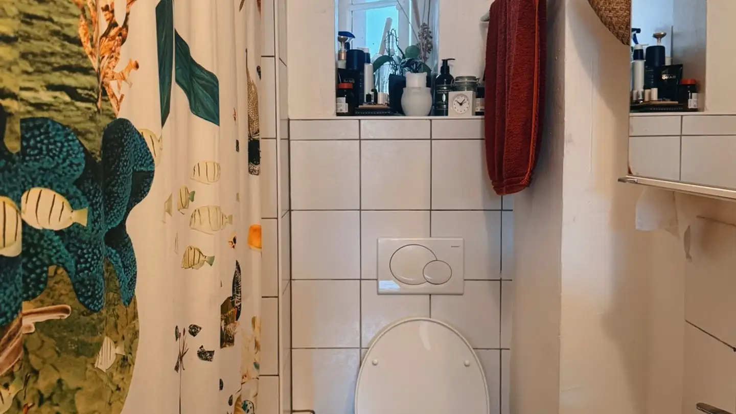 Chambre à louer - 8004 Zürich - Photo 4