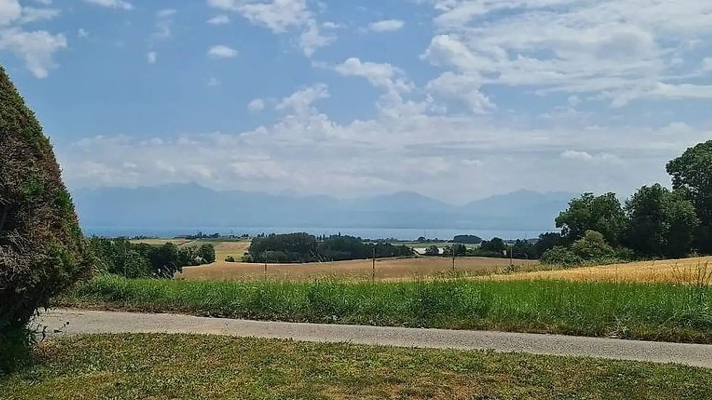 Wohnung mieten - 1136 Bussy-Chardonney