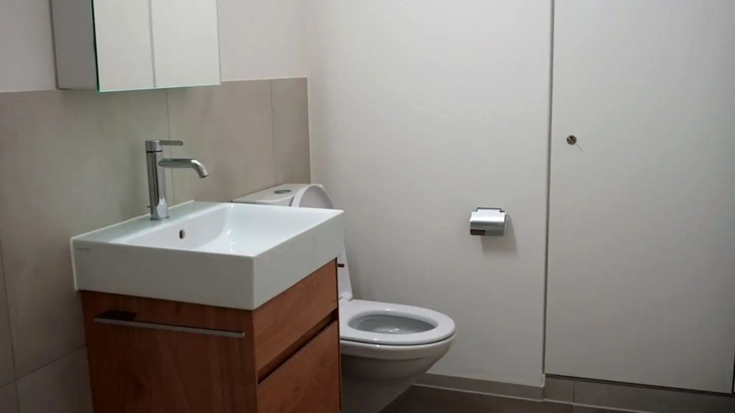 Appartamento in affitto - Witikonerstrasse 221, 8053 Zürich - Foto 2