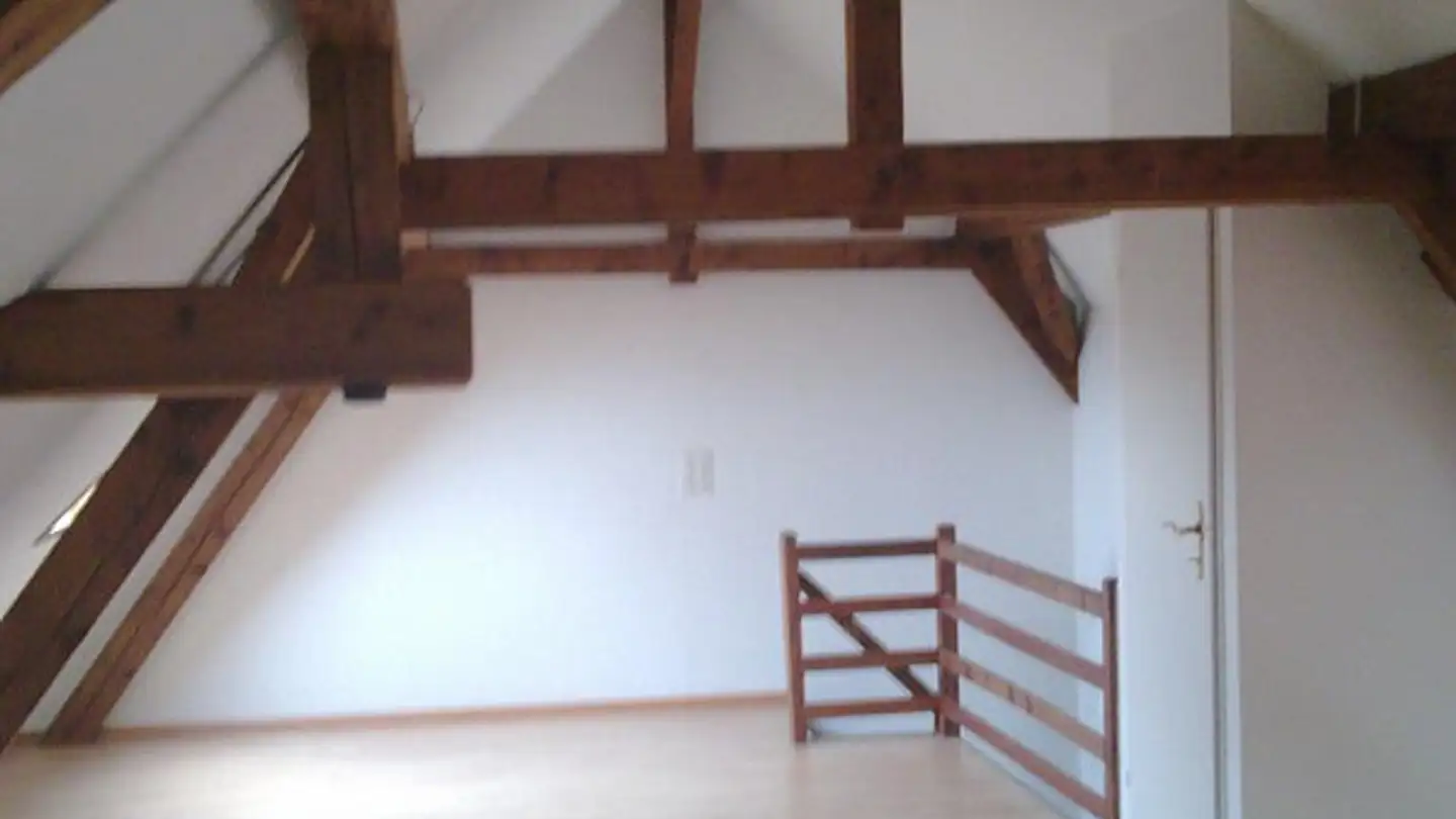 Duplex in affitto - Hirzbodenweg 78, 4052 Basel - Foto 2