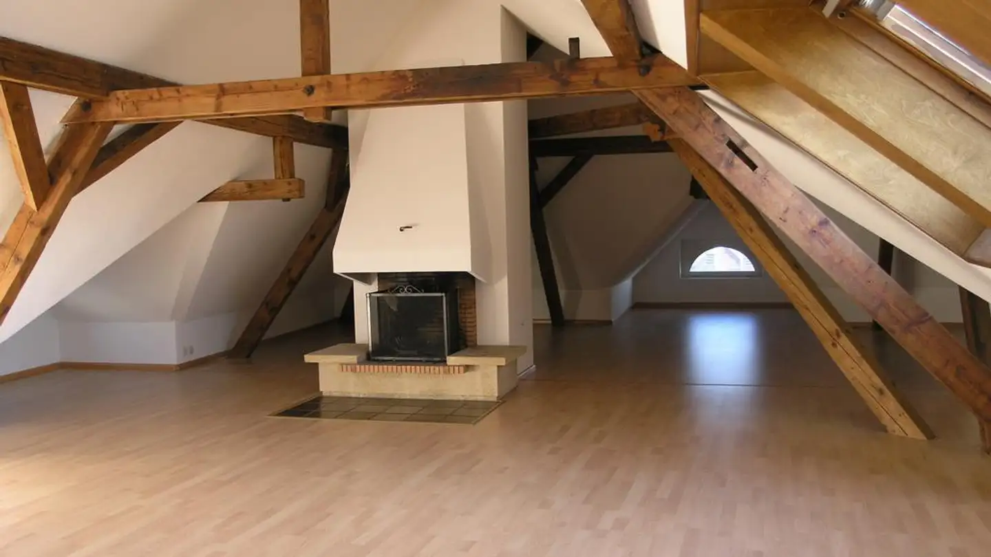 Duplex in affitto - Hirzbodenweg 78, 4052 Basel - Foto 3