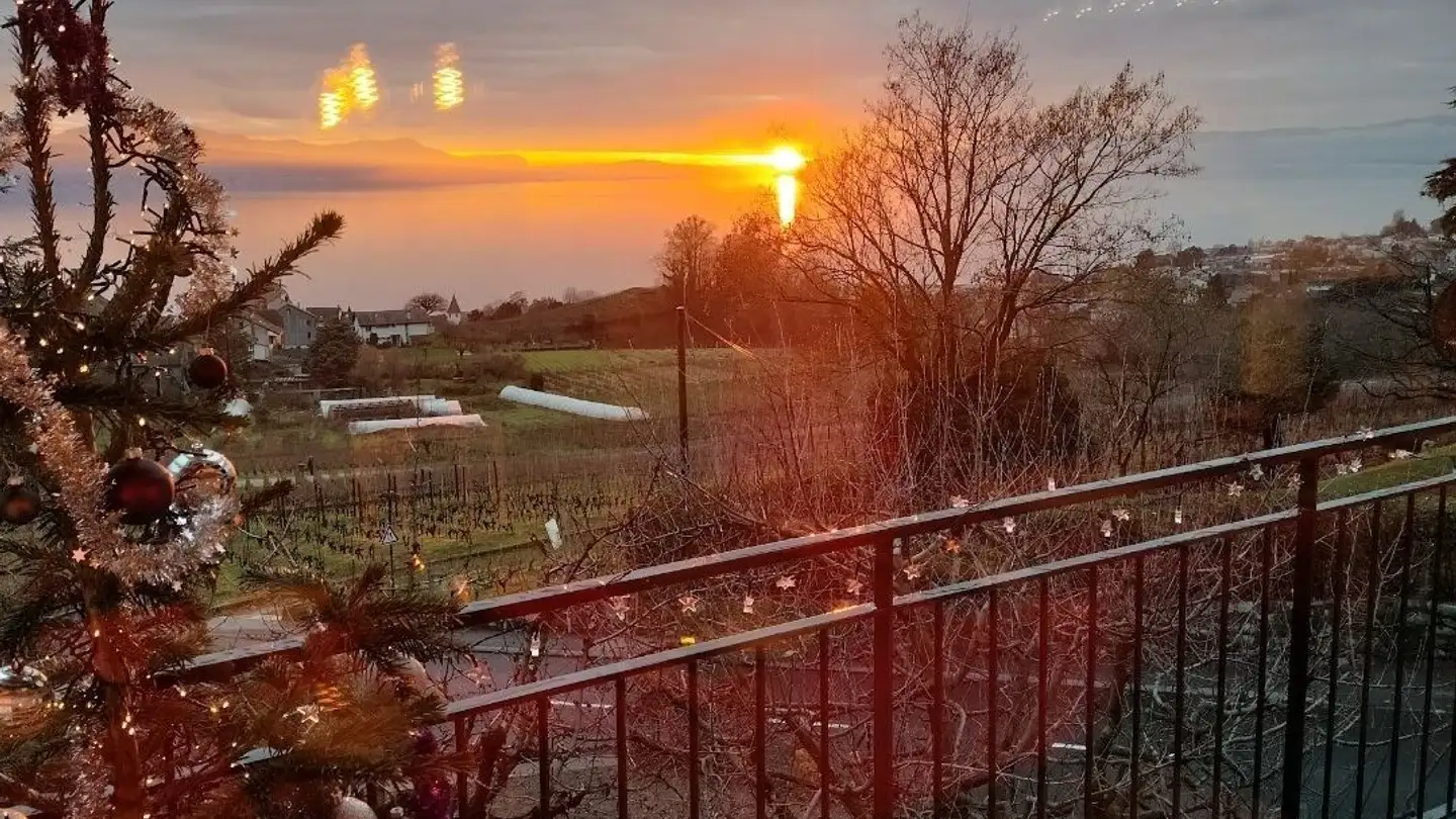 Attico in affitto - Route De La Croix 37, 1095 Lutry