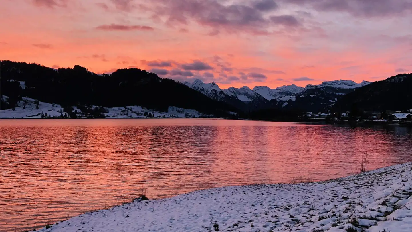 Wohnung mieten - Schafmattstrasse 4, 8841 Gross - Foto 2