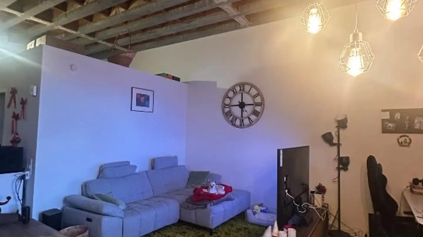 Loft for rent - Dorfplatz, 4718 Holderbank SO - Photo 4