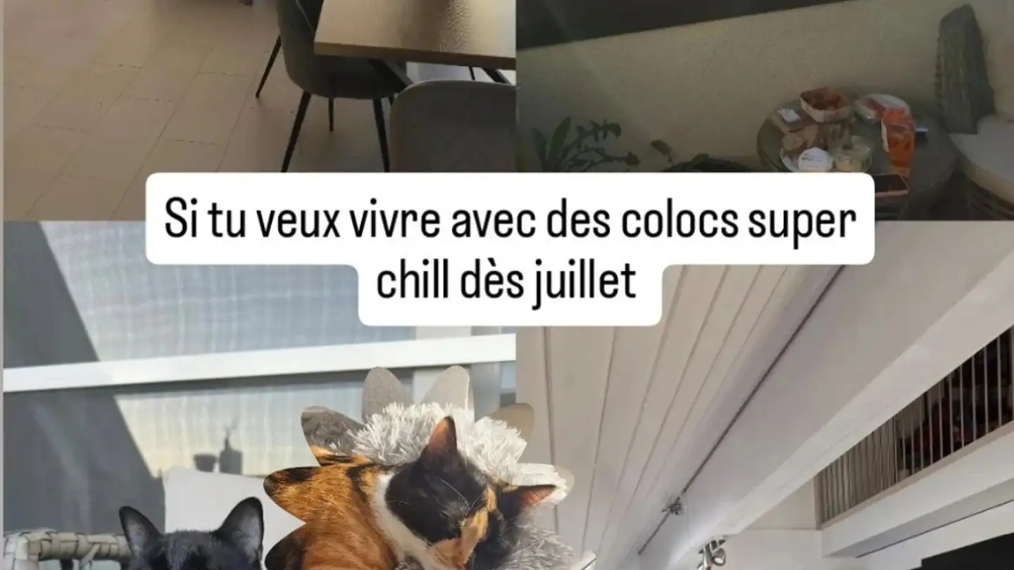 Single room for rent - 1372 Bavois