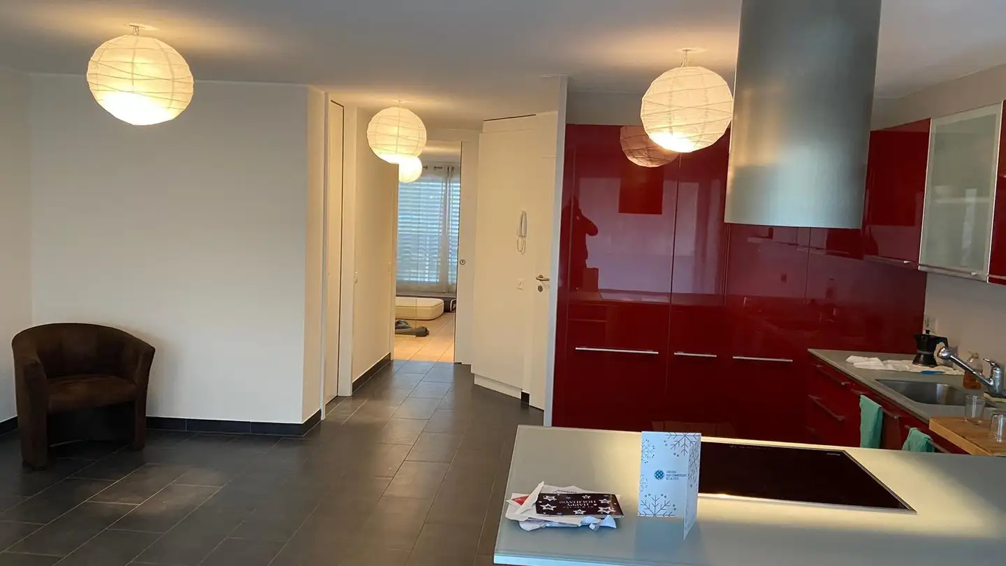 Apartment for sale - Route De Bénex-Dessus 1a, 1197 Prangins - Photo 2