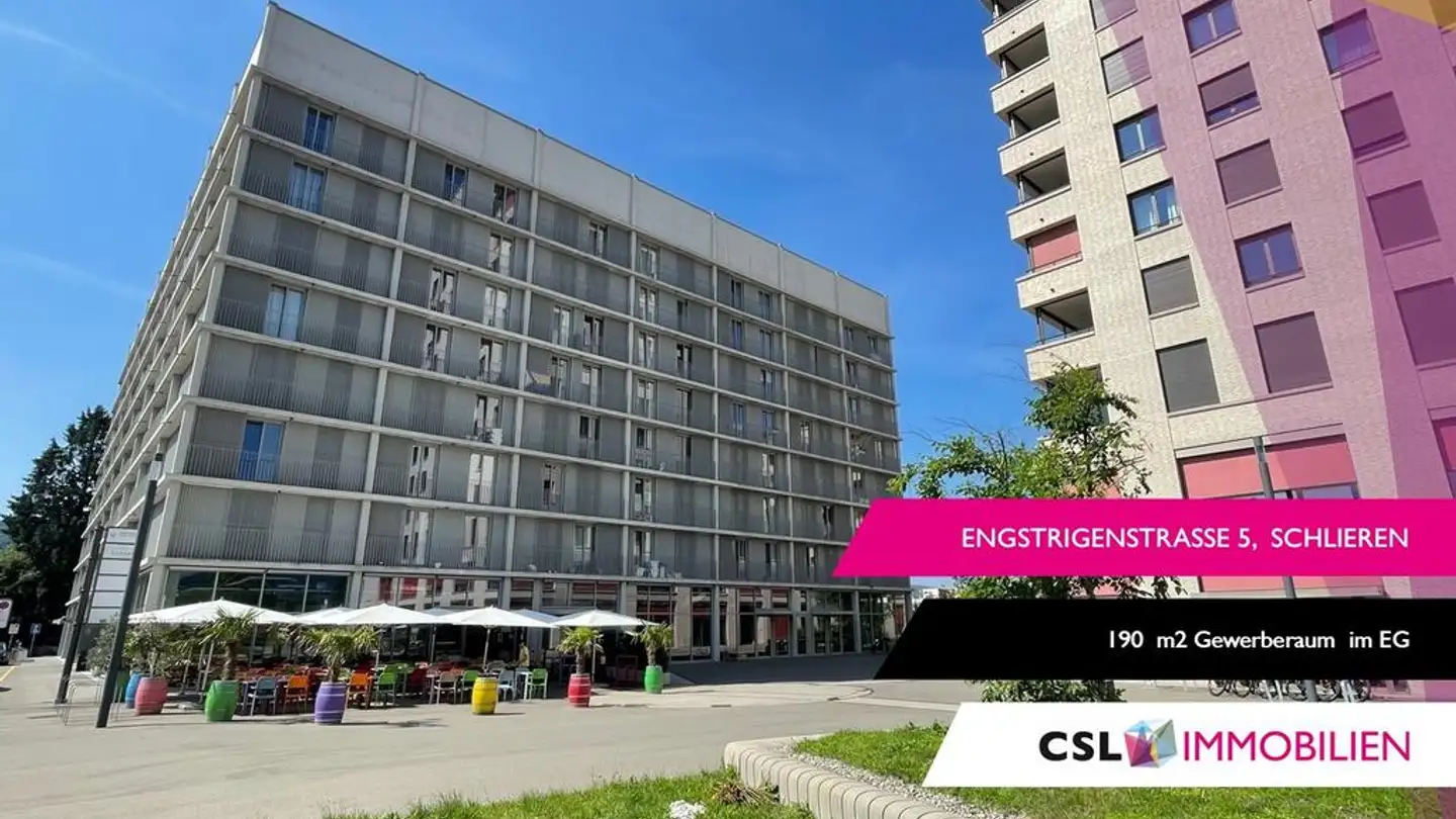 Commerciale in affitto - Engstringerstrasse, 8952 Schlieren