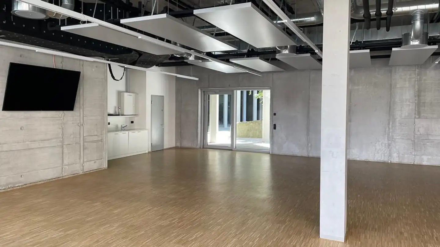 Commerciale in affitto - Engstringerstrasse, 8952 Schlieren - Foto 2