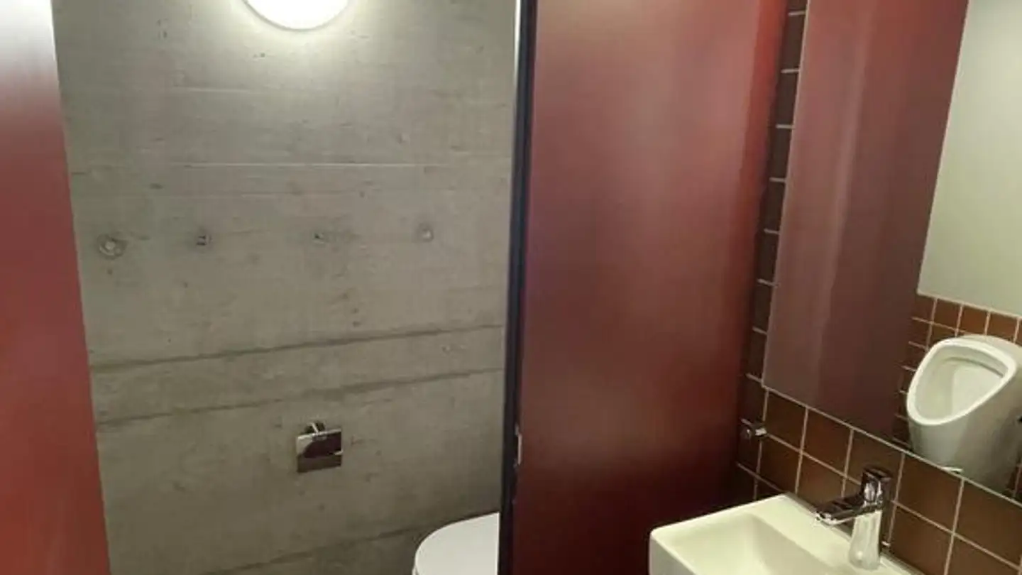 Commerciale in affitto - Engstringerstrasse, 8952 Schlieren - Foto 4