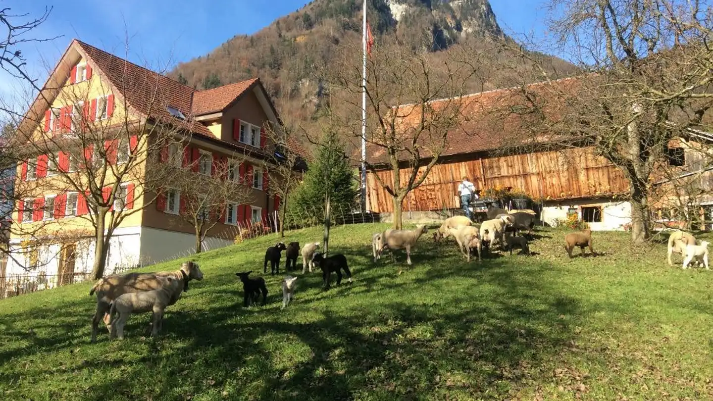 Penthouse mieten - Rotacherstrasse 1, 6442 Gersau - Foto 2