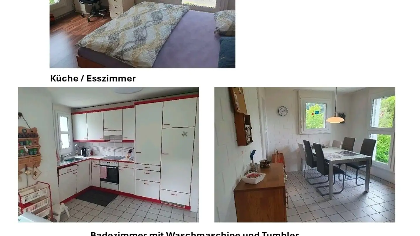 Appartamento in affitto - Bahnhofstrasse 9, 3436 Zollbrück - Foto 3