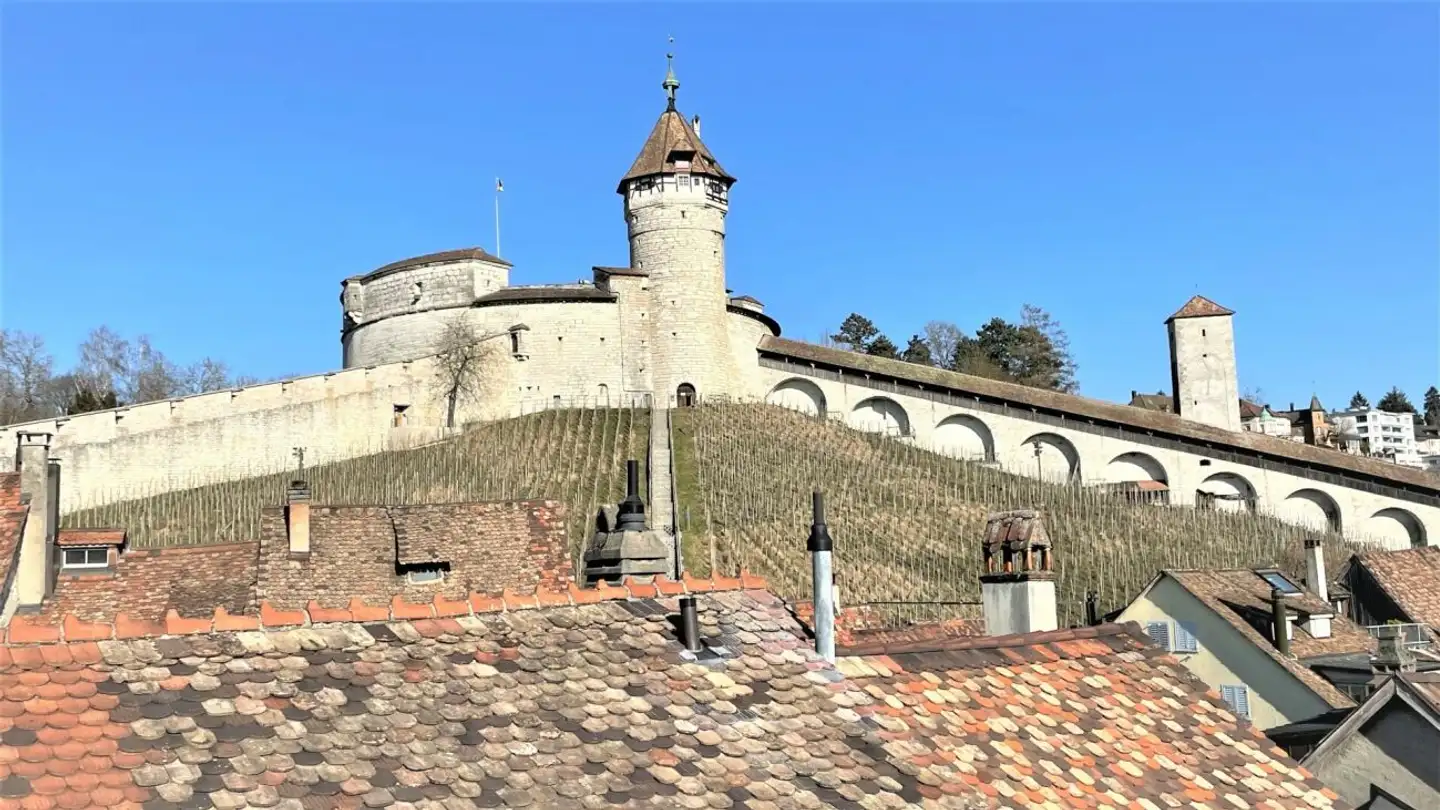 Appartamento in affitto - Unterstadt 41, 8200 Schaffhausen - Foto 2