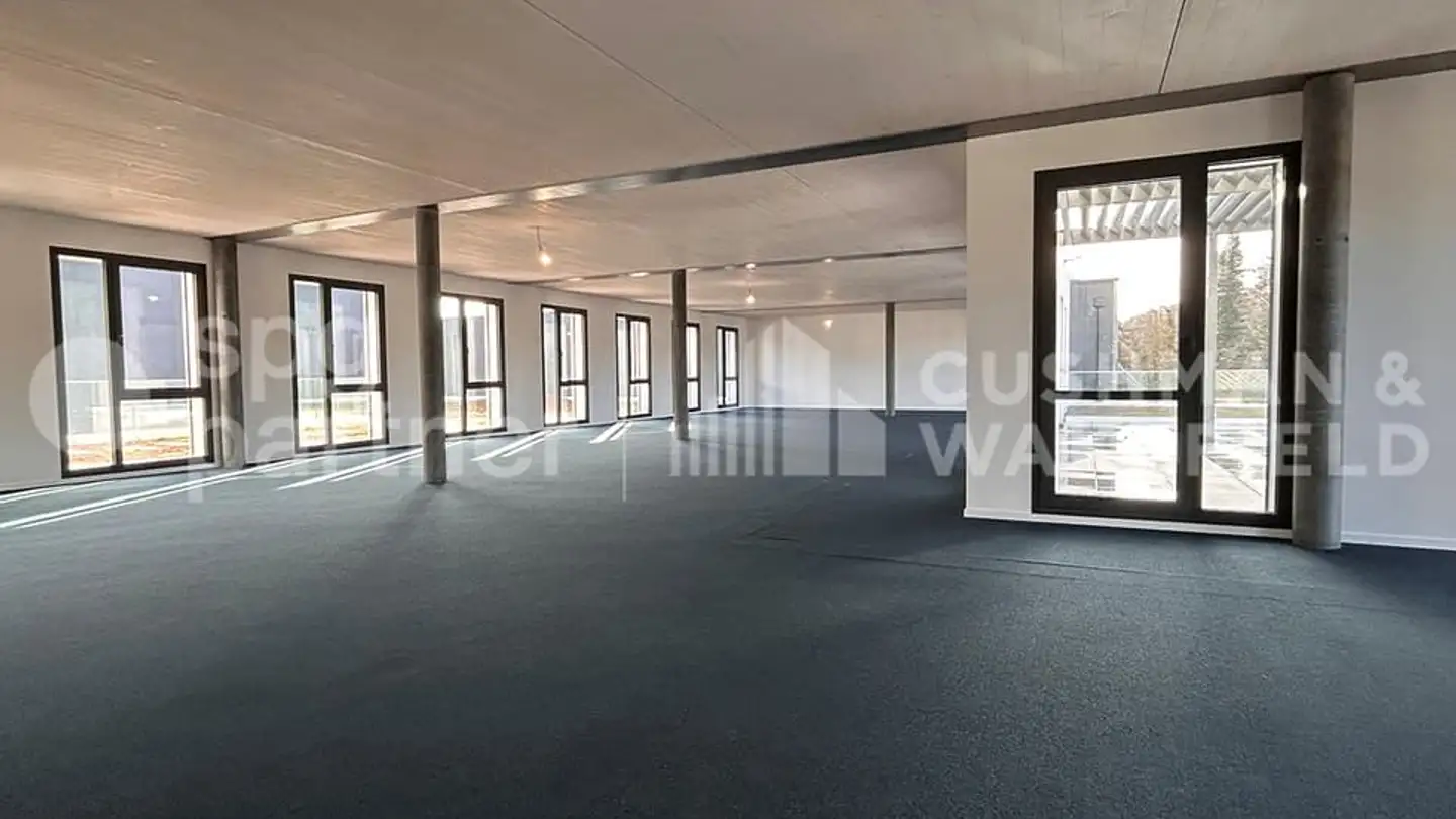 Commerciale in affitto - Chemin De Mochettaz 7, 1030 Bussigny - Foto 4