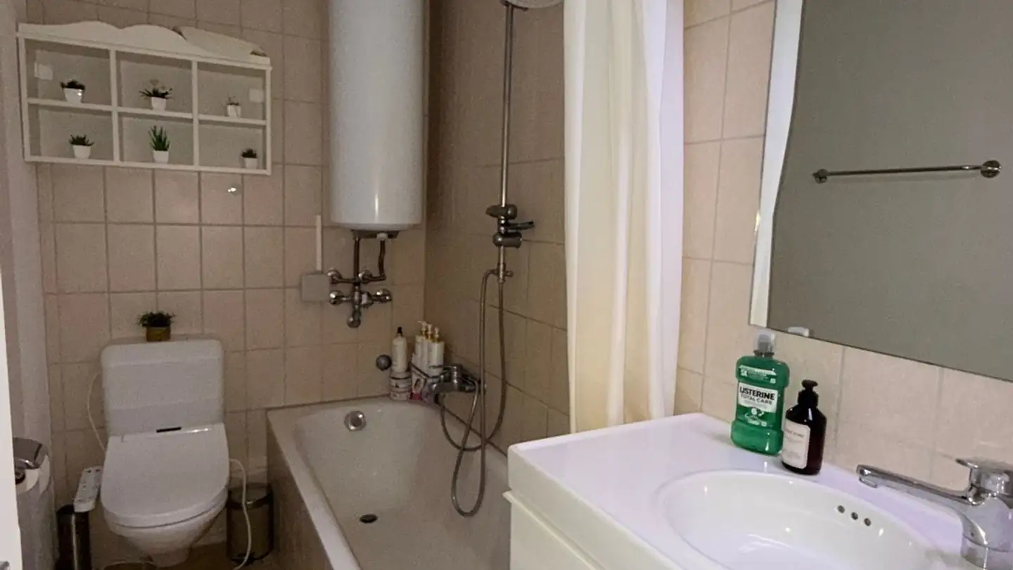 Wohnung mieten - Altweg 9, 8047 Zürich - Foto 4