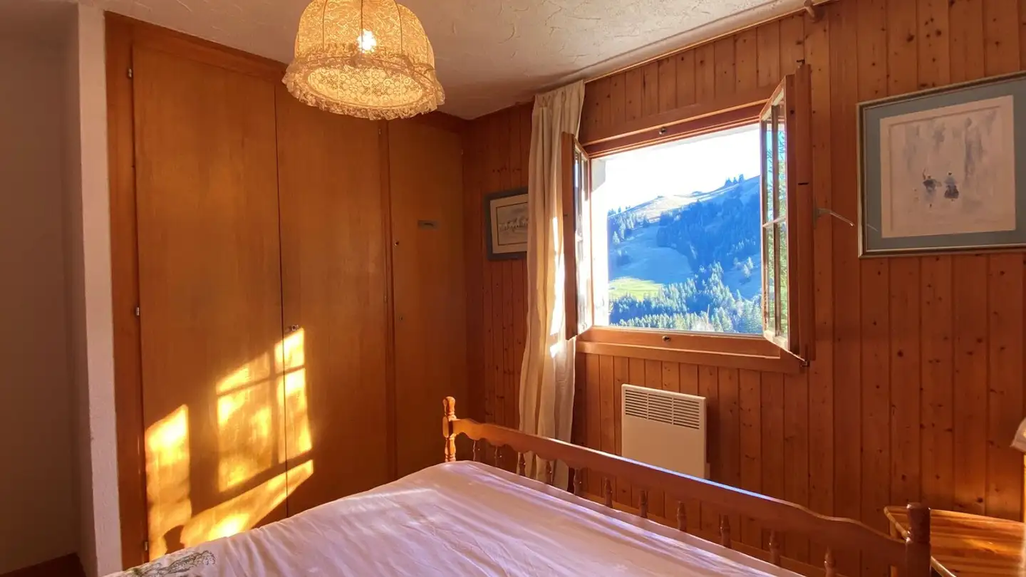 Casa grotta in vendita - Route Du Petit-Renard, 1663 Moléson-sur-Gruyères - Photo 2