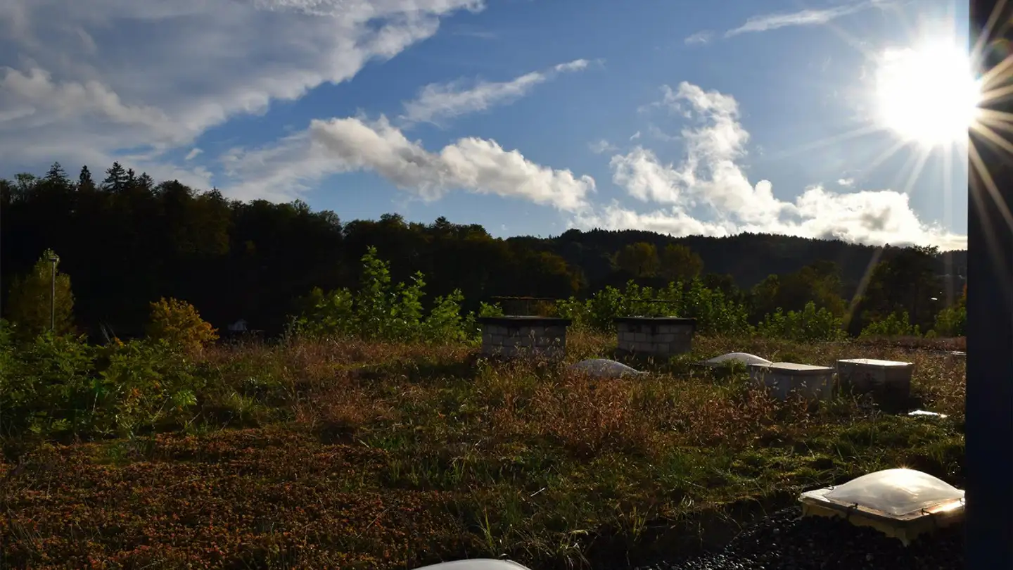 Villa mieten - Unterdettigenstrasse, 3032 Hinterkappelen - Foto 2