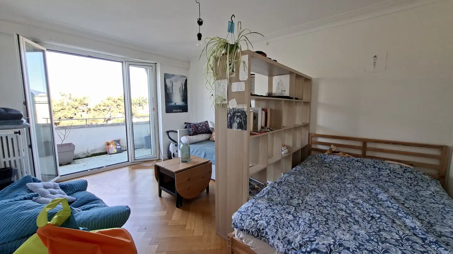 Wohnung mieten - Rue Des Délices 21, 1203 Genève - Foto 2