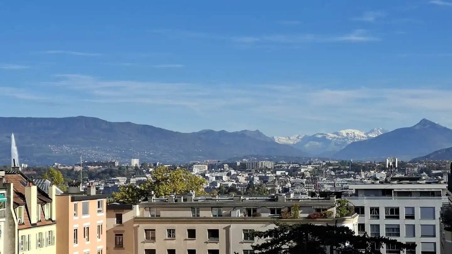 Wohnung mieten - Rue Des Délices 21, 1203 Genève - Foto 4