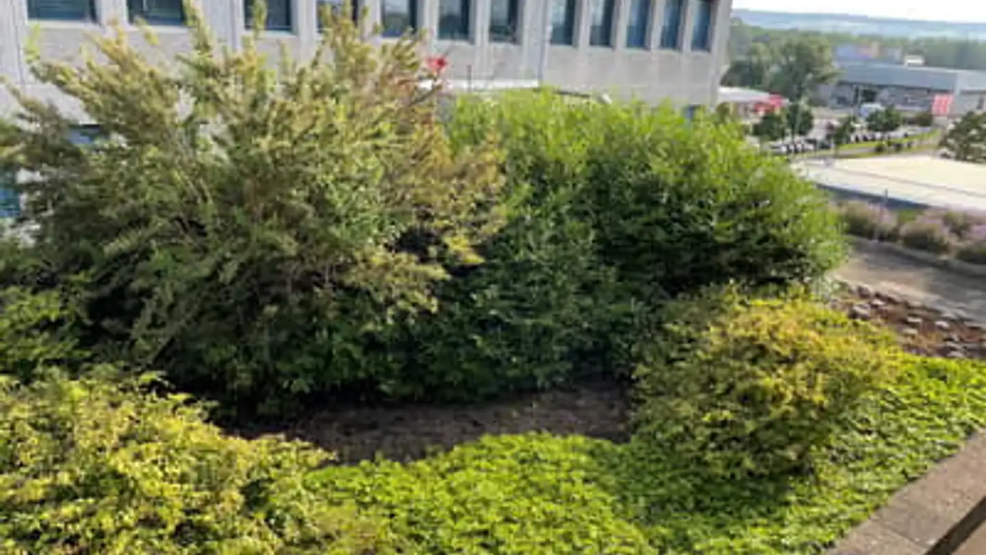 Bürofläche mieten - Riedmattstrasse 9, 8153 Rümlang - Foto 4