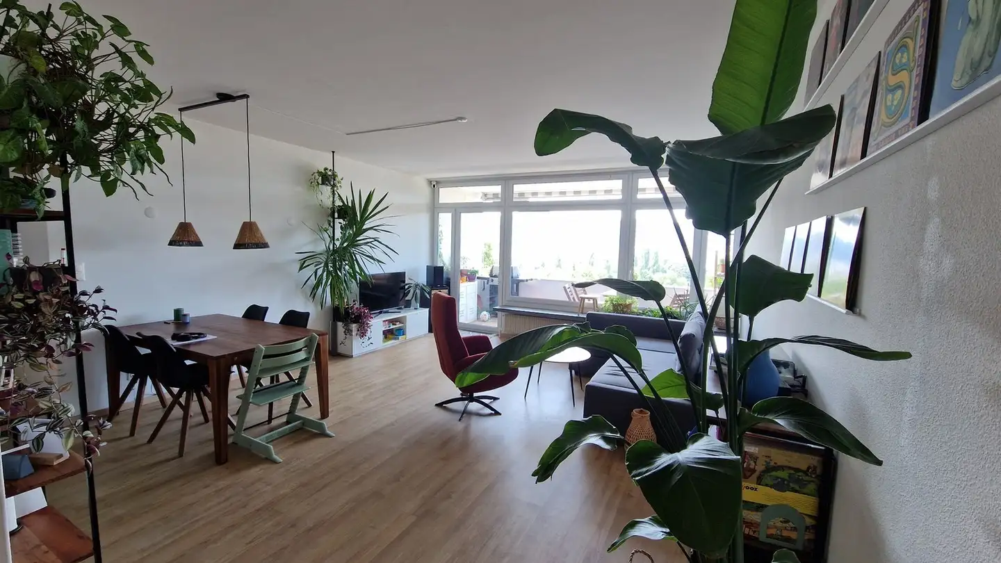 Appartement à louer - 8049 Zürich