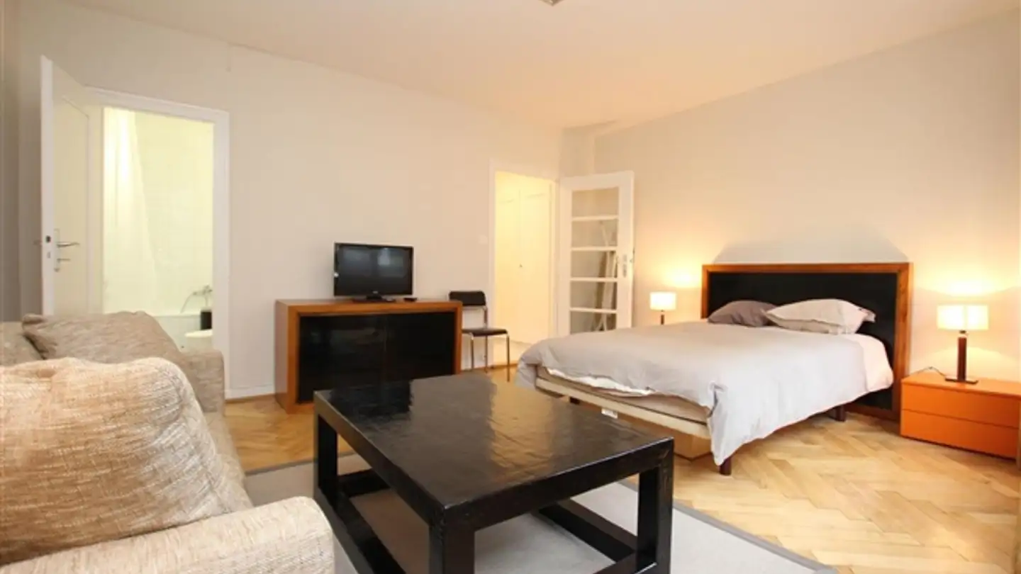 Appartamento ammobiliato in affitto - Rue De Lausanne 68, 1202 Genève - Foto 2