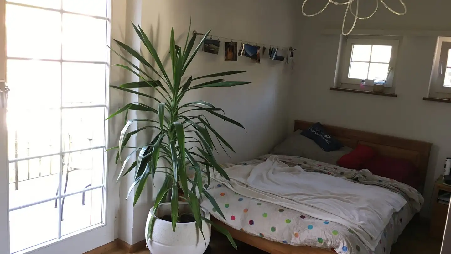 Appartamento in affitto - Mülirain 1, 4314 Zeiningen - Foto 4