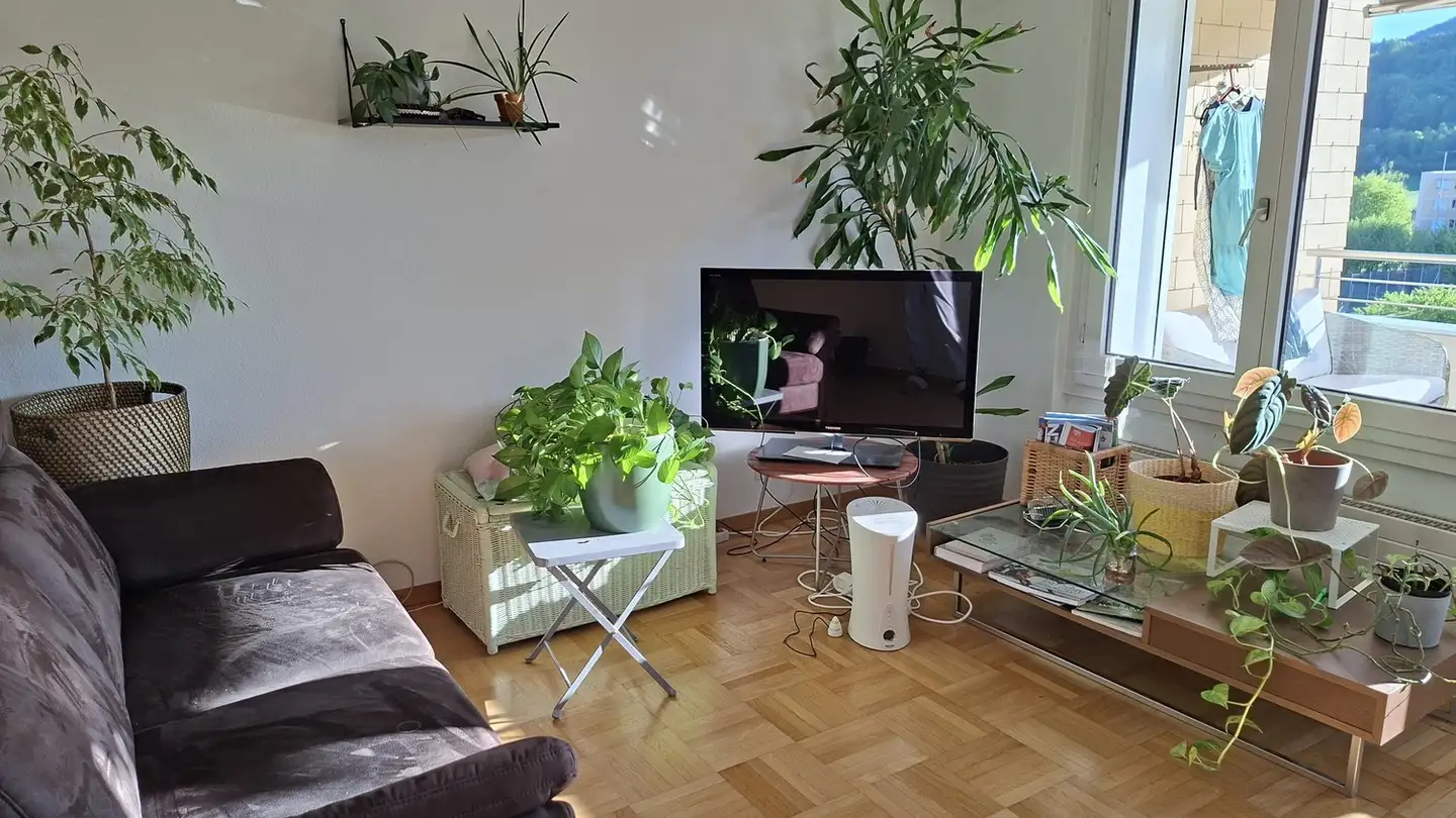 Furnished apartment for rent - Feldstrasse 45, 8902 Urdorf