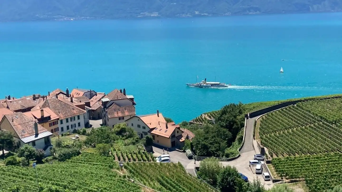 Appartamento in affitto - Ruelle Des Dolles 1, 1071 Rivaz - Photo 3