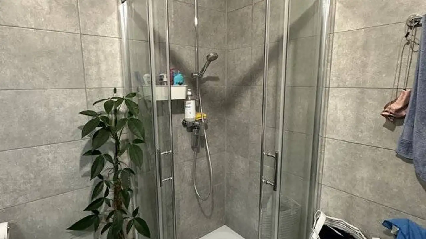 Wohnung mieten - Route D'oron 154, 1676 Chavannes-les-Forts - Foto 4