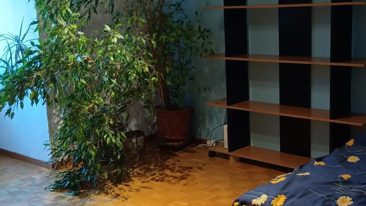 Wohnung mieten - Ankerstrasse 33, 3006 Bern - Foto 2