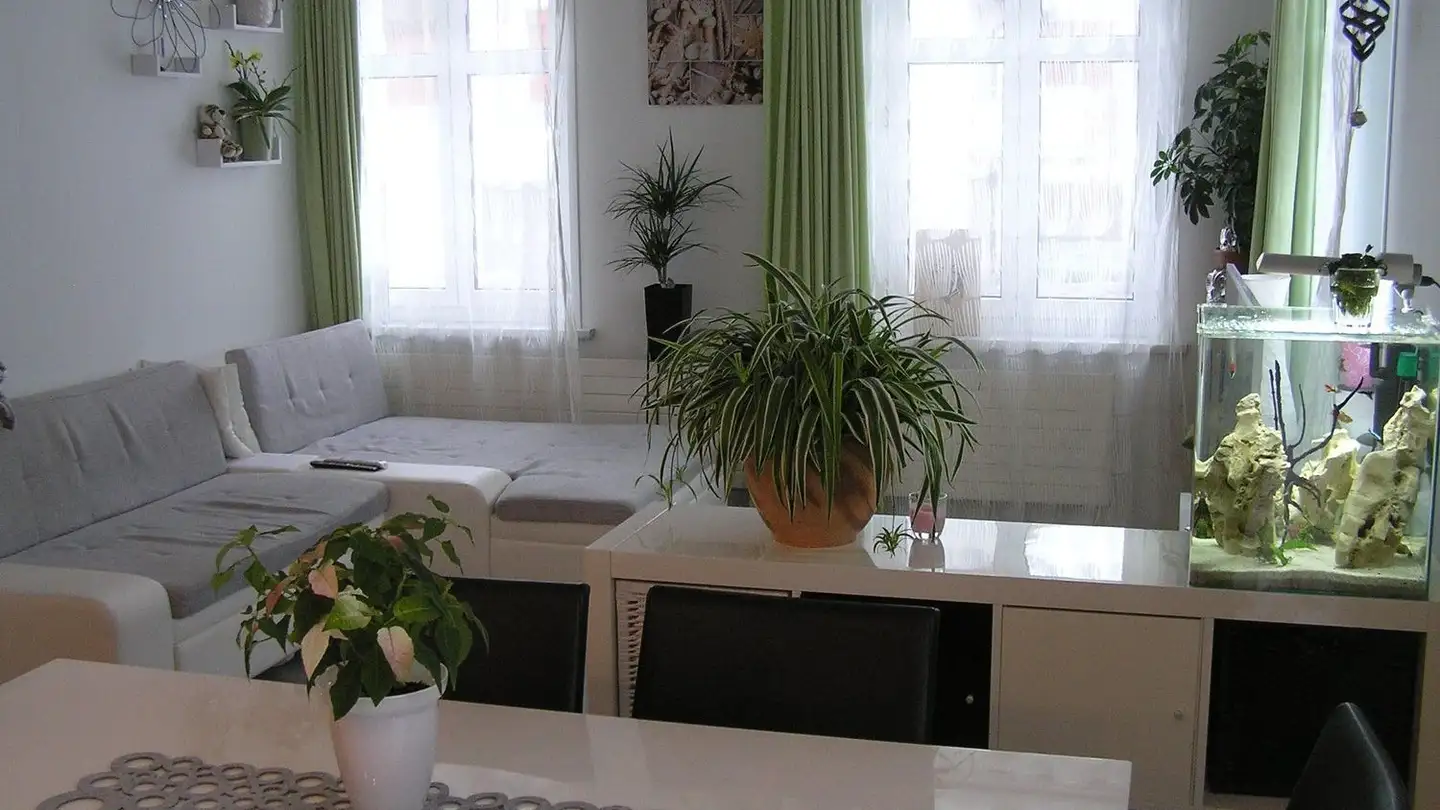 Appartement à louer - Blumenaustrasse 19, 8360 Eschlikon TG - Photo 2
