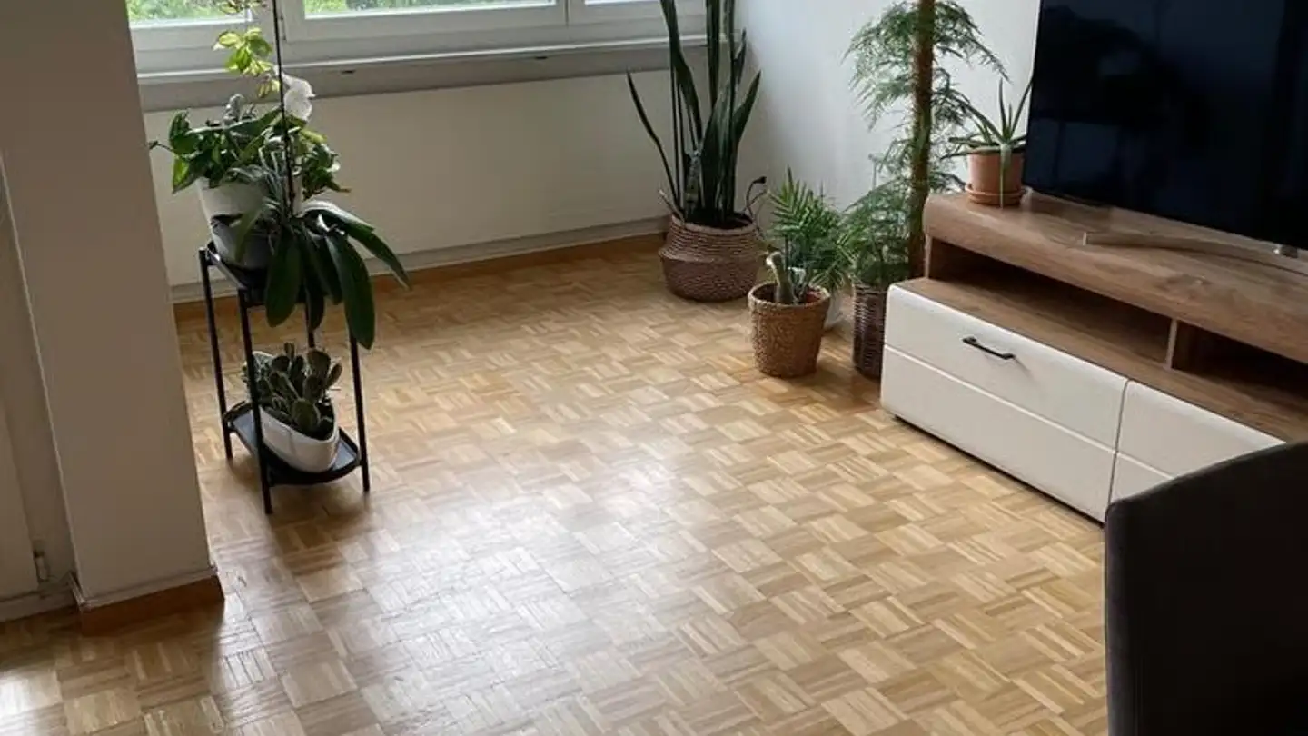 Appartamento in affitto - Kornstrasse 5, 8603 Schwerzenbach - Foto 2