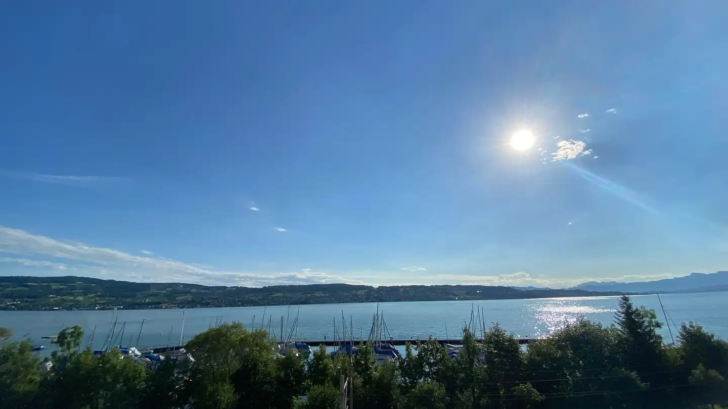 Spazio ufficio in affitto - Seestrasse 194, 8820 Wädenswil